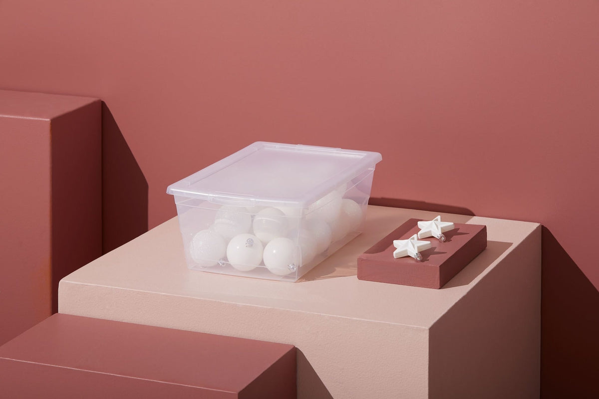 type A Clarity Transparent Storage Box with Lid, 9-L