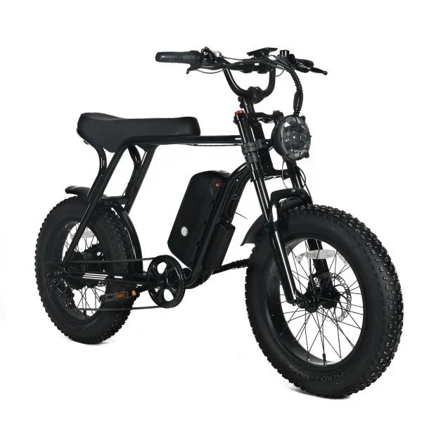 Electric Mountain Bike for Adults | 20 x 4.0 Fat Tires, 1000W Motor, 48V 20Ah Removable Battery, Max Speed 45MPH, Shi Mano 7-Speed for Off-Road Adventures A7