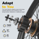 26 inElectric Mountain Bike for Adults, 400W 25MPH 40 Miles, 36V 13AH,City Commuting E-bike
