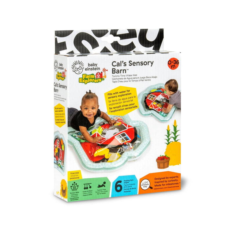 Baby Einstein Cal's Sensory Barn Tummy Time Water Mat E7