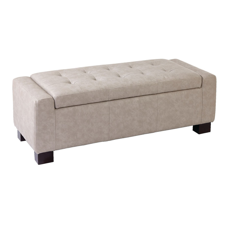 CANVAS Louisa Upholstered Hinge-Top Storage Ottoman/Bench With Padded Seat, Light Grey M1