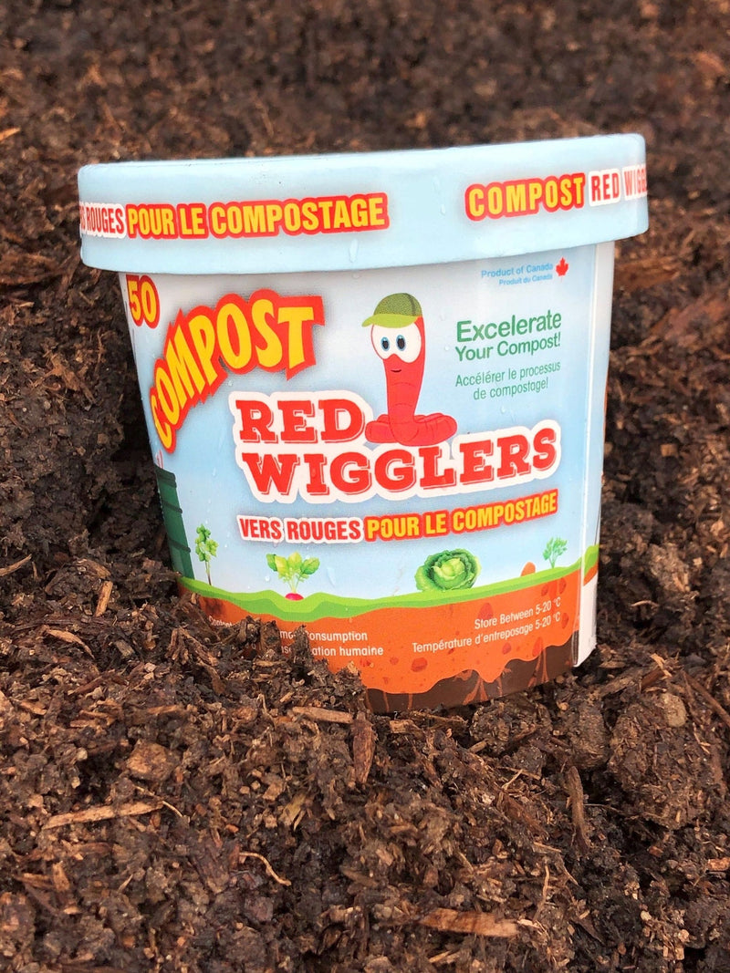 Compost Red Wiggler Live Composting Worms, 50 Count Y1