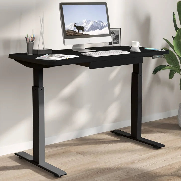 Motionwise 121.9 cm x 61 cm (48 in. x 24 in.) Height Adjustable Desk A6