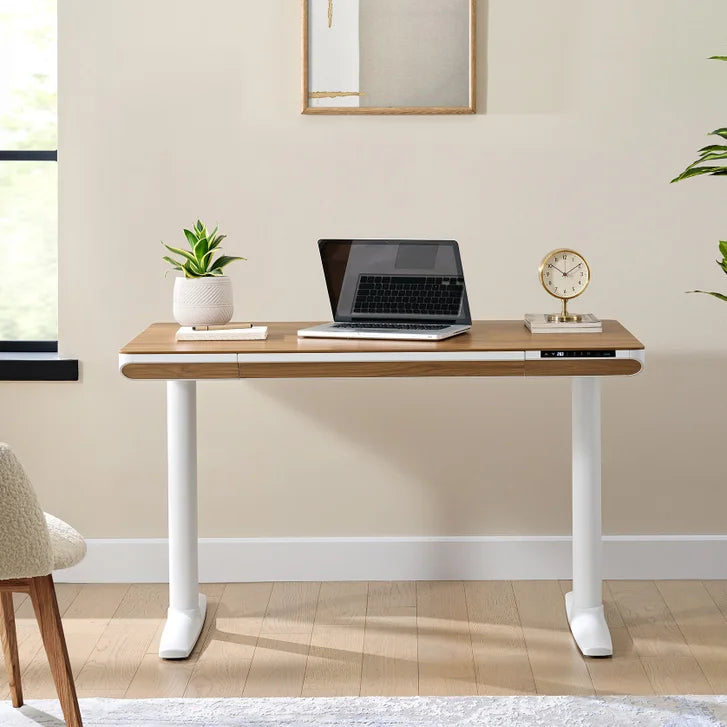 Nico Case 117 cm (46.1 in.) Height Adjustable Lift Desk, White Frame F1
