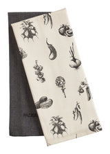 PADERNO All-Purpose Cotton Kitchen Towels, Grey, 2-pk