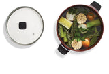 PADERNO Classic Non-Stick Stock Pot, 10-qt