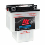 PRO-SERIES Gel Group Size 34R Battery