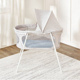 Regalo Baby Basics Infant Bassinet with Canopy, Grey