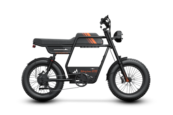 GT33 All-Terrain Cafe Racer Cargo Electric Bike B5
