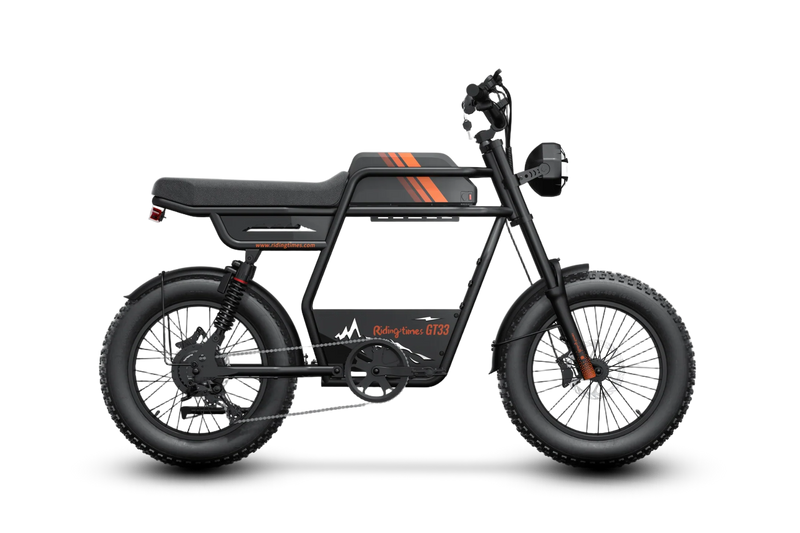 GT33 All-Terrain Cafe Racer Cargo Electric Bike B5