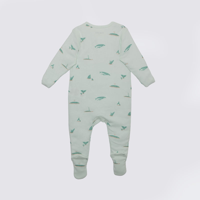 The Elk Baby Whale Print Premium Organic Cotton Play and Grow Zippy, Various Sizes F8