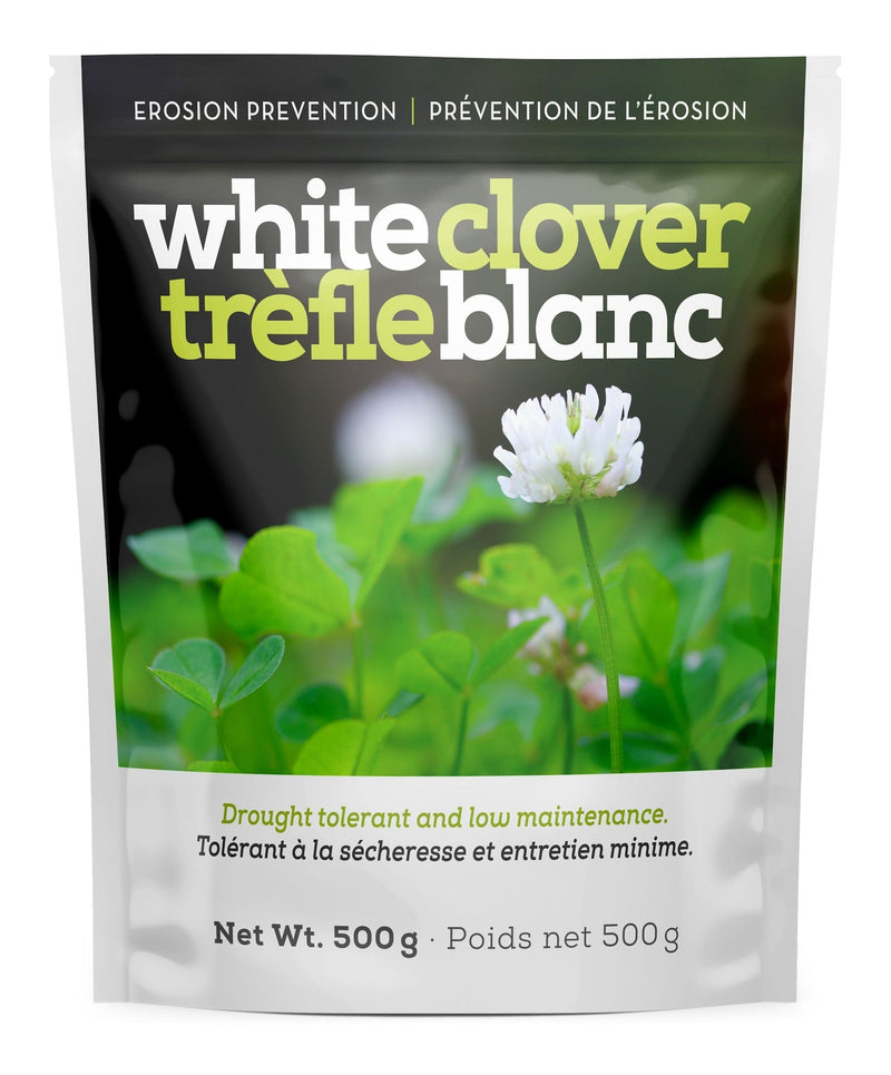 White Clover Erosion Control Grass Seed 500g H2